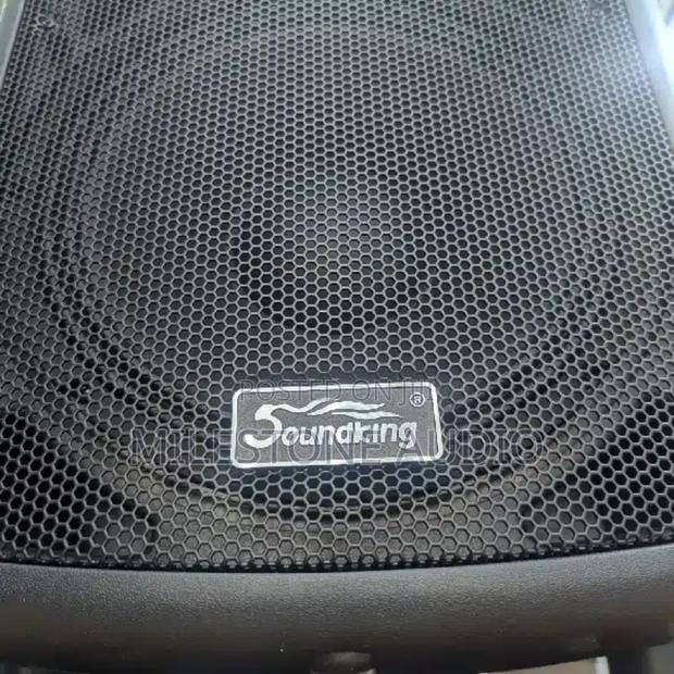 Soundking Fp215a Active Speaker - main view