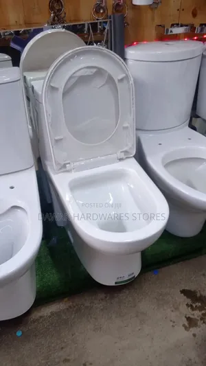 Sawa One Piece Toilet