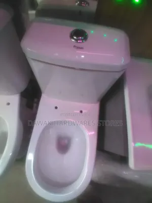 Sawa One Piece Toilet