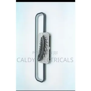 Beautiful Decorative Led Wall Bracket Light