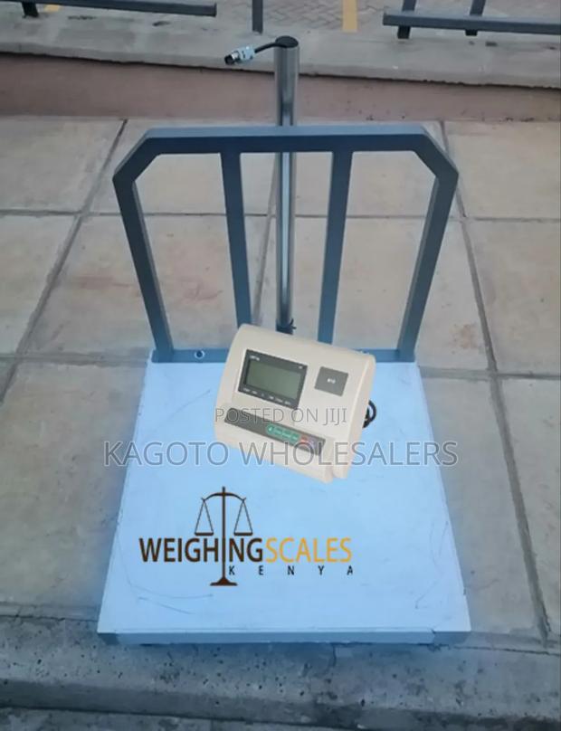 Portable 500kgs Platform Scale - main view
