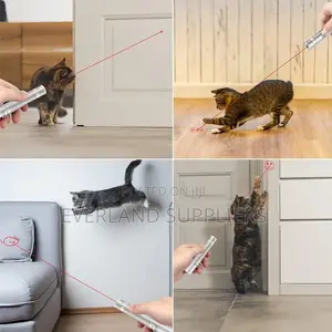 Interactive Kitten Laser With Moving Light Beams For Indoor Exercise