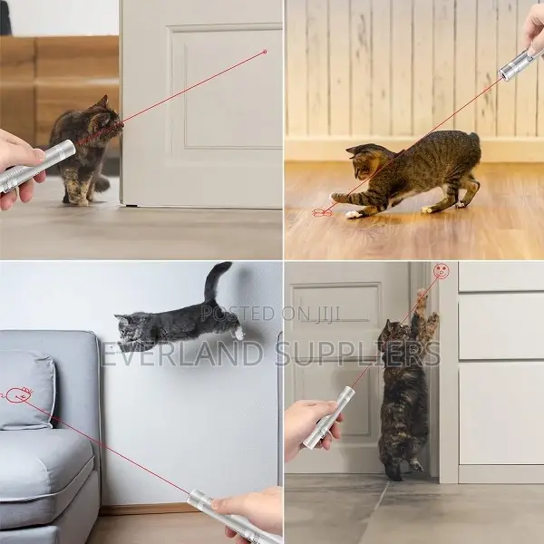 Interactive Kitten Laser With Moving Light Beams For Indoor Exercise