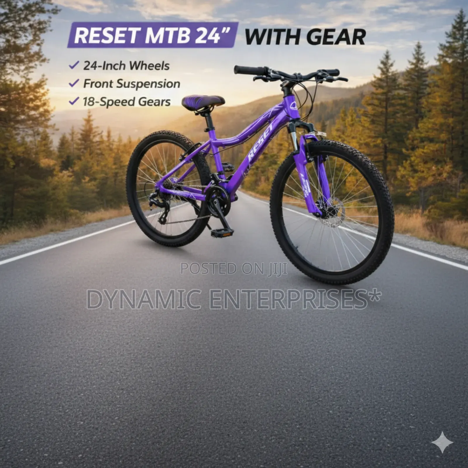 Reset 24" Mountain Bike