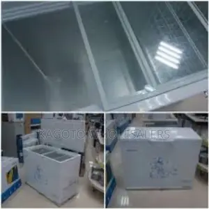 New 269l Skyworth Freezer