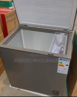 Deep 269l Skyworth Freezer