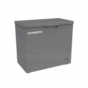 Bigger 269l Skyworth Freezer