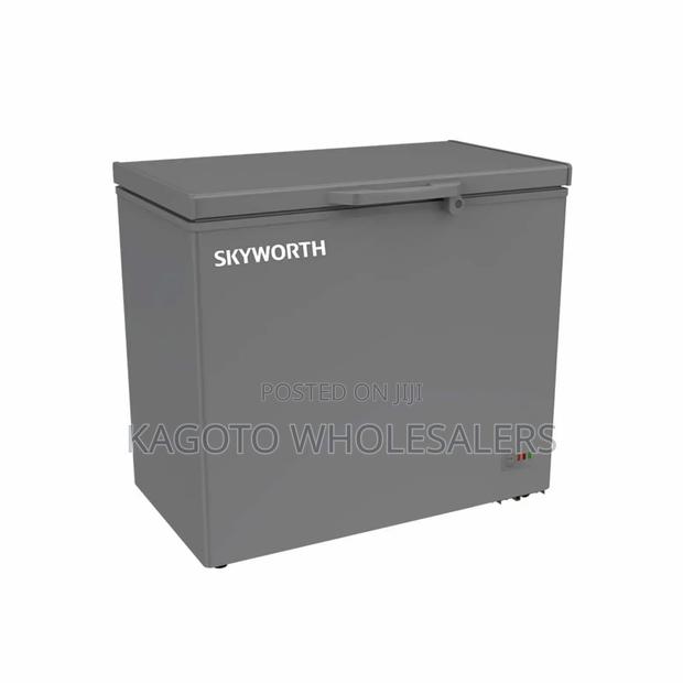 Bigger 269l Skyworth Freezer