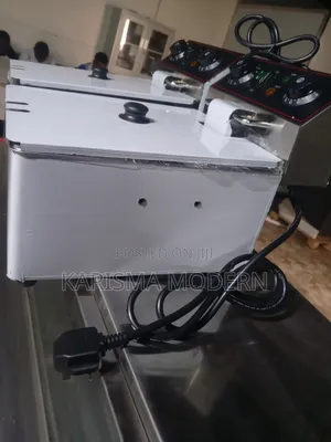 Heavy Duty Double Fryer
