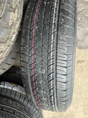 215/60r17 Dunlop