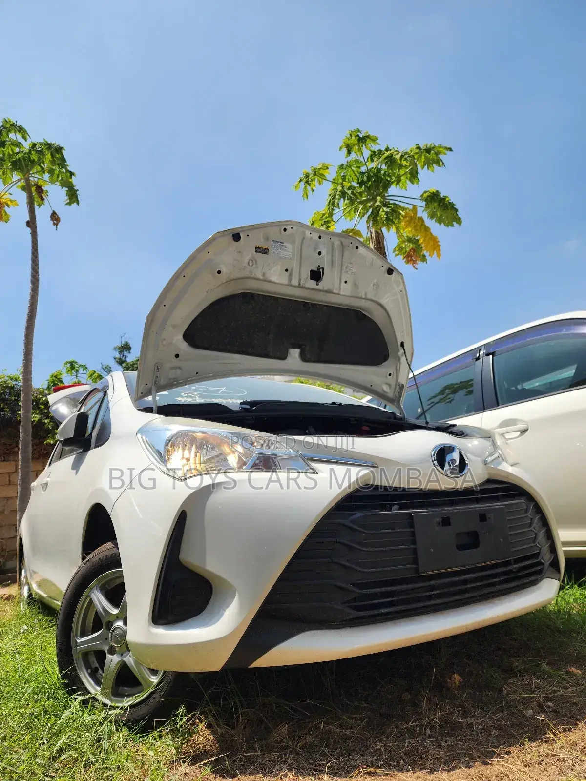 Toyota Vitz 2018 White