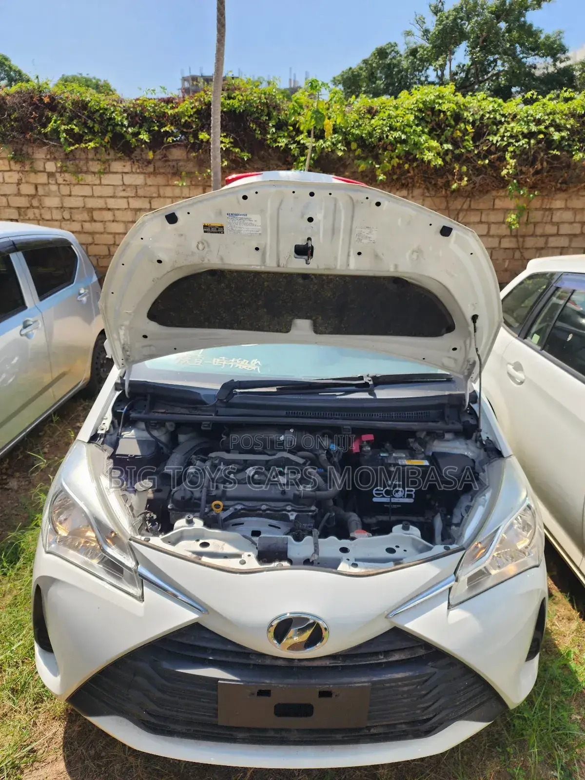 Toyota Vitz 2018 White