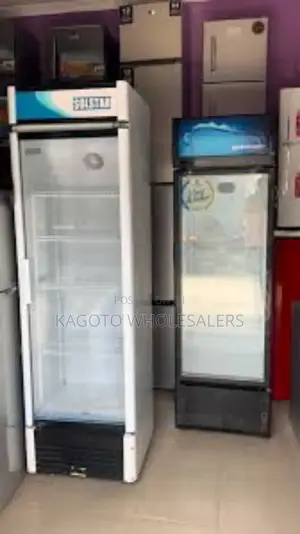Commercial Roch 279l Display Fridge