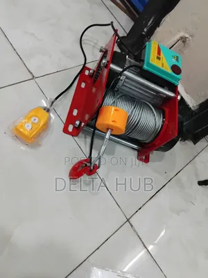 Powerful Mini Electric Crane Hoist Pa1000 Model