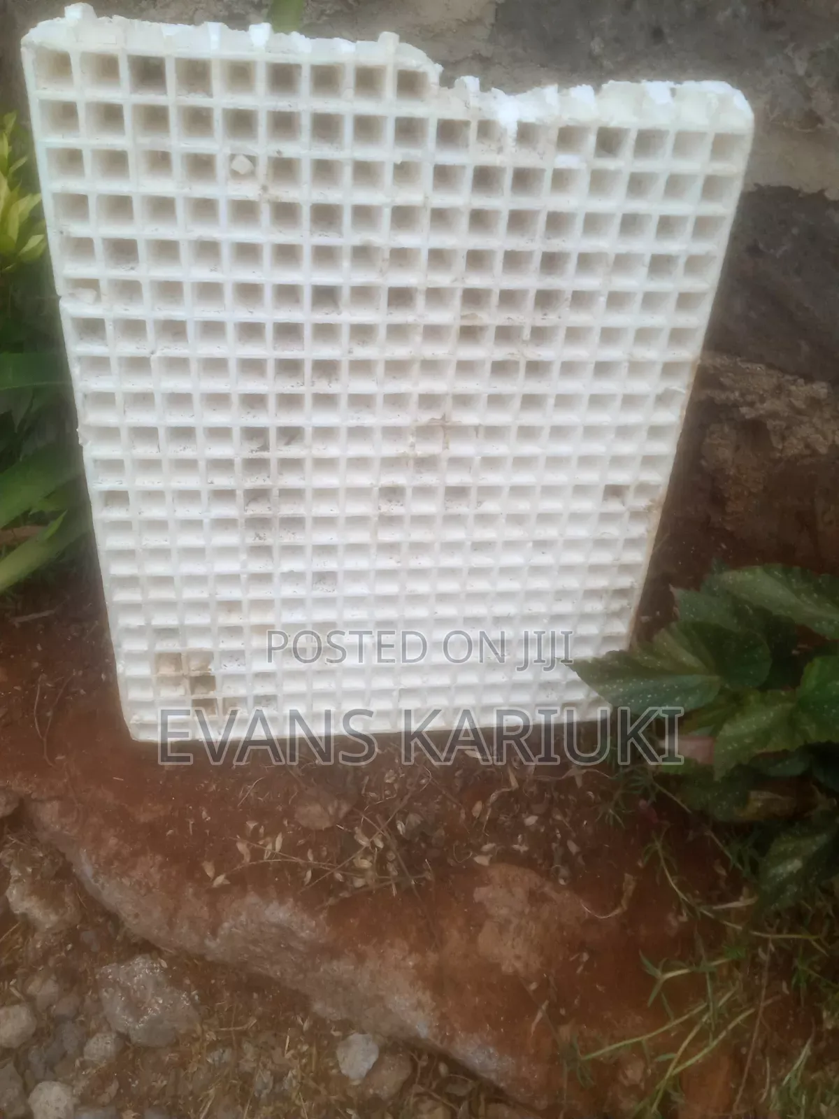 Used Damaged Seedling Trays