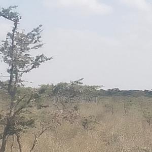 20 Acres For Sale In Kajiado Londariak - thumbnail 2