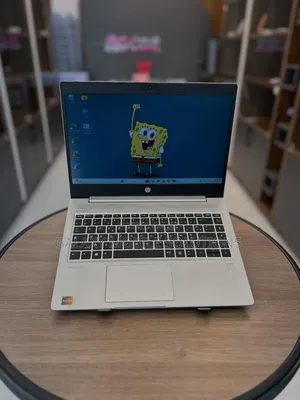 Laptop HP ProBook 445R G6 8GB AMD Ryzen 3 SSD 256GB