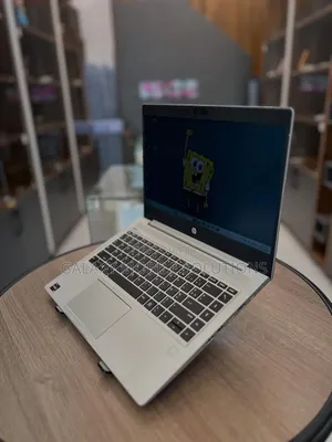 Laptop HP ProBook 445R G6 8GB AMD Ryzen 3 SSD 256GB