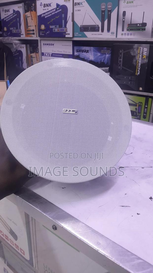 Ceiling Speaker Big 20 Watts