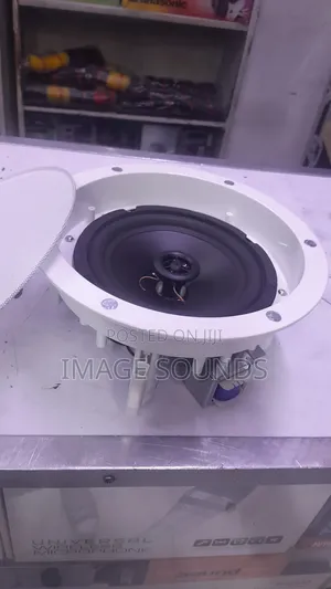 Ceiling Speaker Big 20 Watts