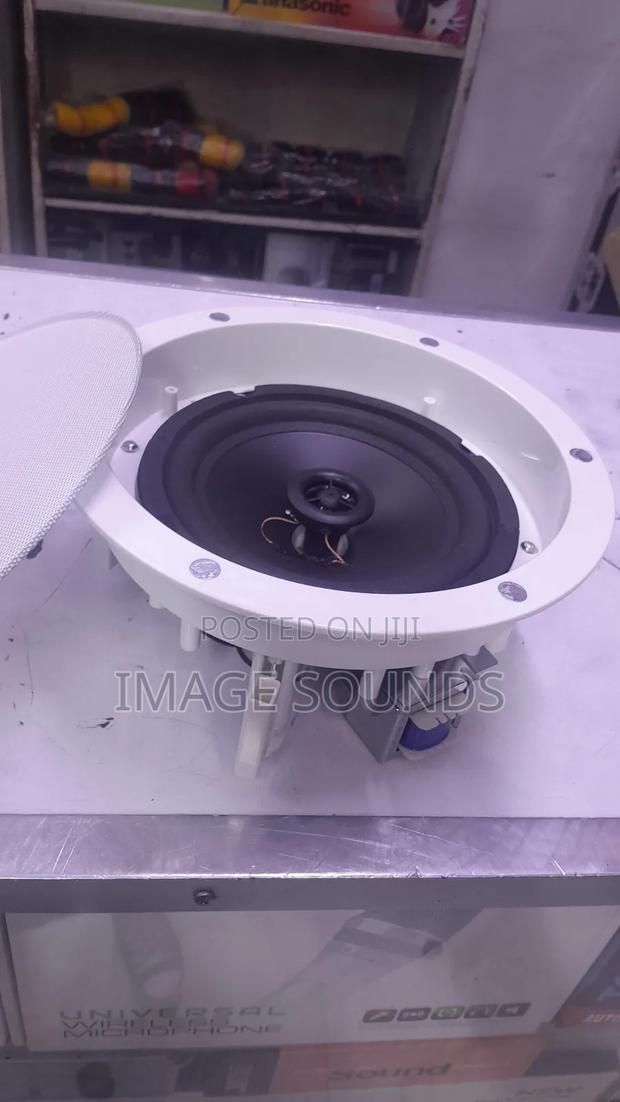 Ceiling Speaker Big 20 Watts - thumbnail 4