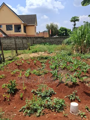 Garden Estate Thome 100x200 Ready Title Quick Sale 28 Millions