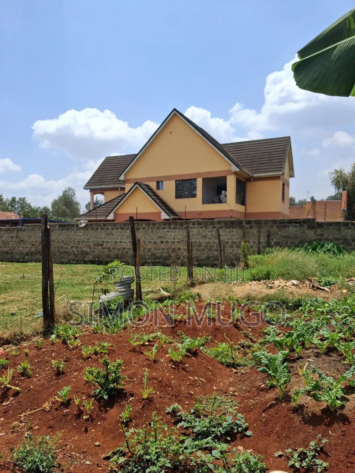 Thome 100x200 Ready Title Quick Sale 26 Millions
