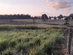 21 Acres Prime and All Arable Next to Laikipia University.