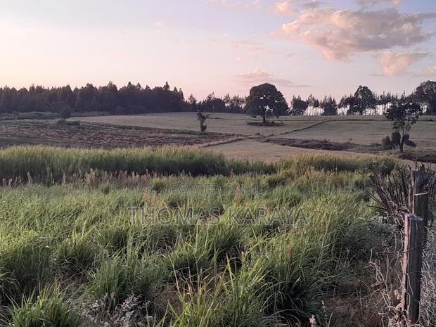 21 Acres Prime and All Arable Next to Laikipia University.