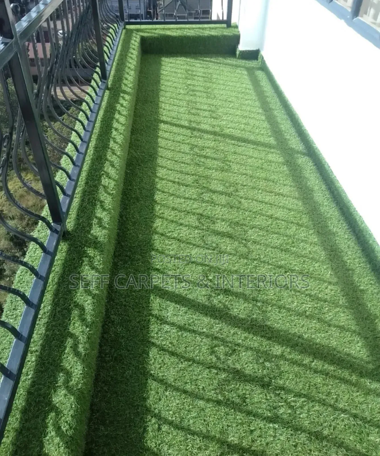 Grass Grass