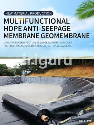 Functional Dam'liners