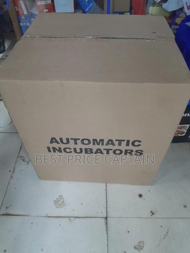 Egg Incubator 256eggs - main view