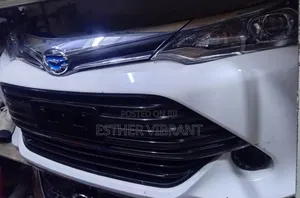 Toyota Fielder 165 Nosecut