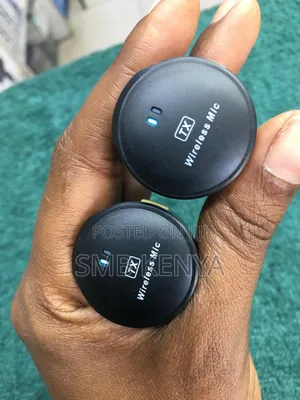 Professional Dual Wireless Microphone