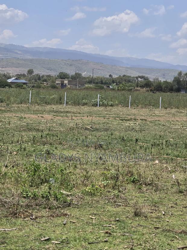 1/8 Acre Plots for Sale in Naivasha ,Kongoni 3km From the Lake