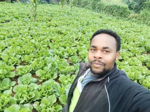 Land and Property - thumbnail 2