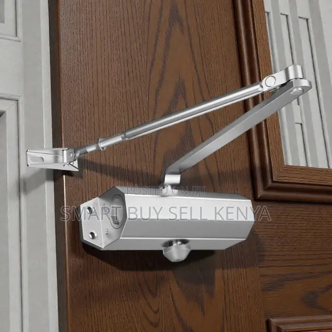 Dual Valve Automatic Adjustable Hydraulic Door Closure Closer