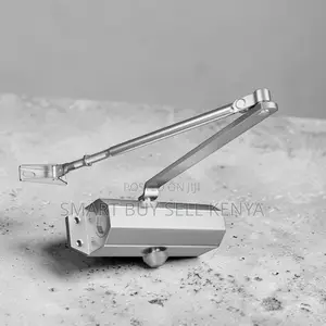 Silver Painting Body Automatic Adjustable Hydraulic Door Close Closer