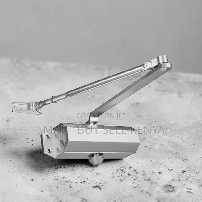 Silver Painting Body Automatic Adjustable Hydraulic Door Close Closer
