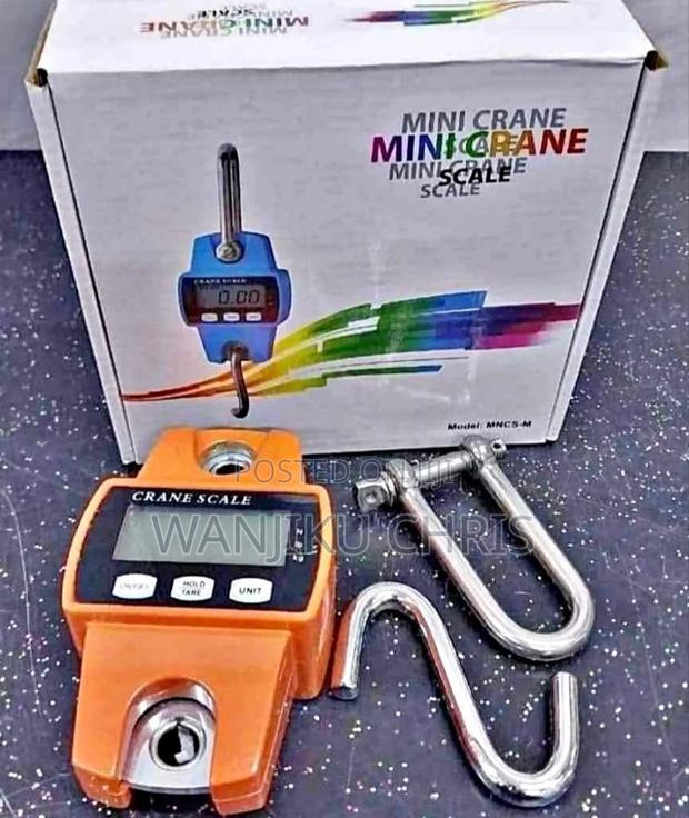 300kg Mini Crane Scale - main view