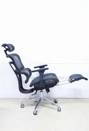 Modern High-end Recliner Ergonomic Office Chair| Orthopedic Seat