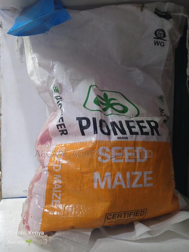 Pioneer 30g19 Maize Seeds 2kgs - main view