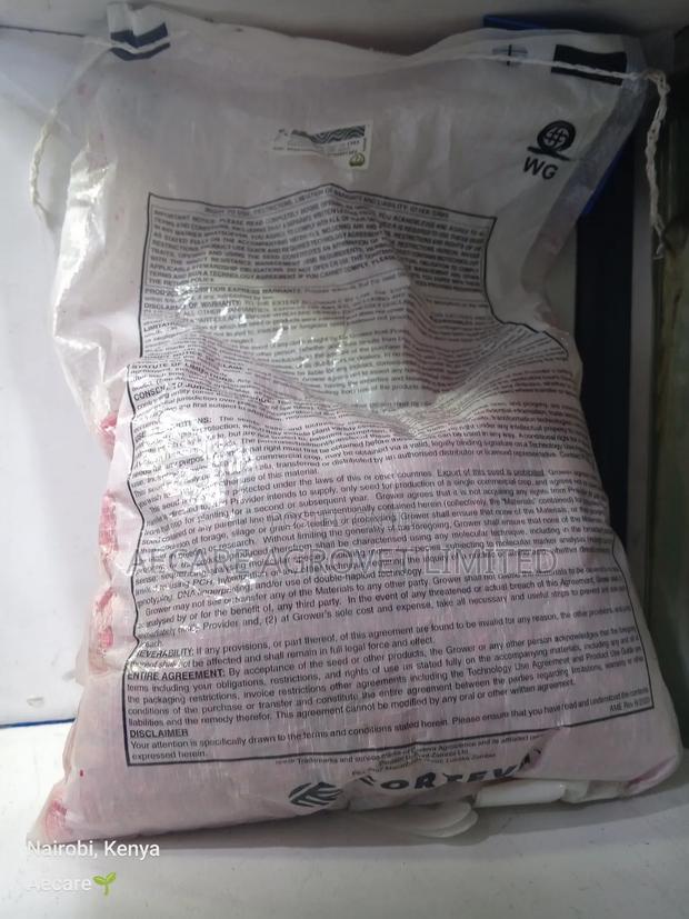 Pioneer 30g19 Maize Seeds 2kgs - thumbnail 3