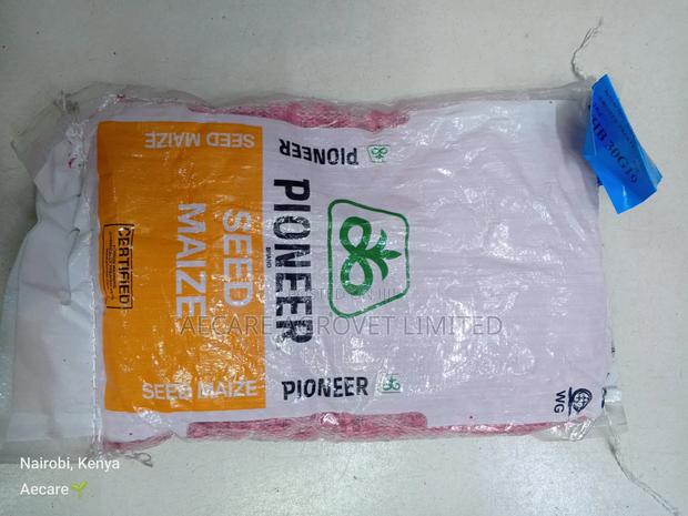 Pioneer 30g19 Maize Seeds 2kgs - thumbnail 4