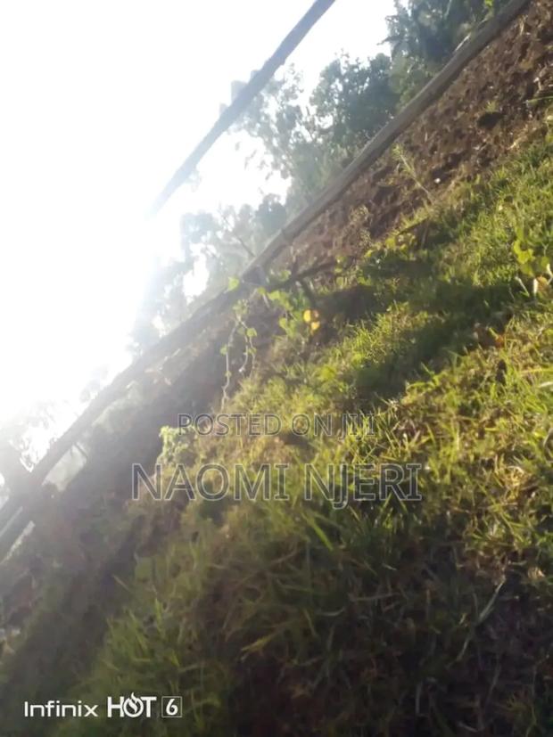 Land and Property - thumbnail 3