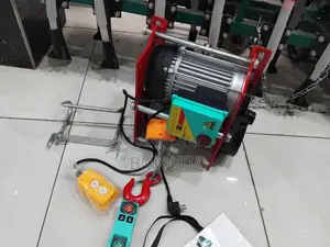 Professional Electric Winch Crane 1000kg