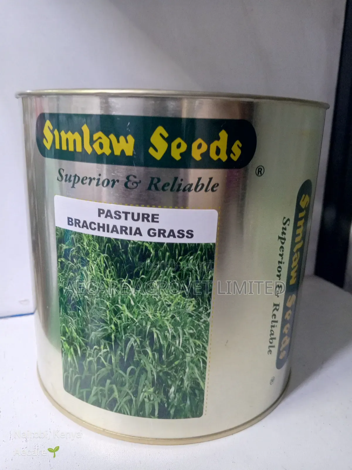 Bracharia Pasture Grass 250g, 500g, 1kg