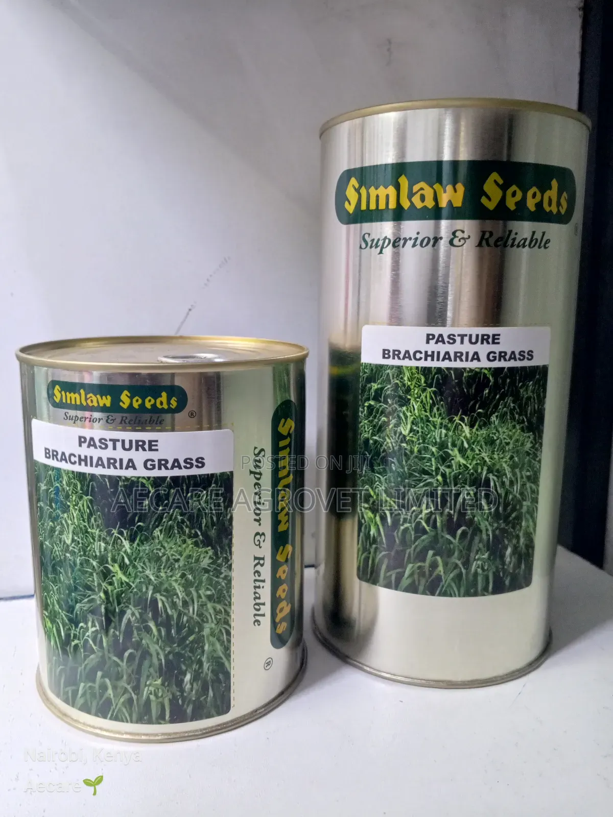 Bracharia Pasture Grass 250g, 500g, 1kg