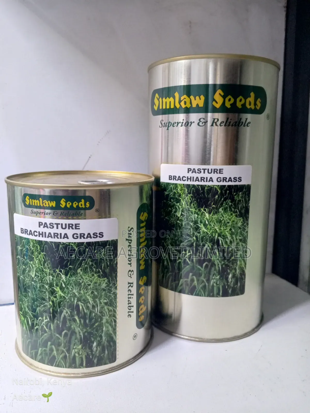 Bracharia Pasture Grass 250g, 500g, 1kg