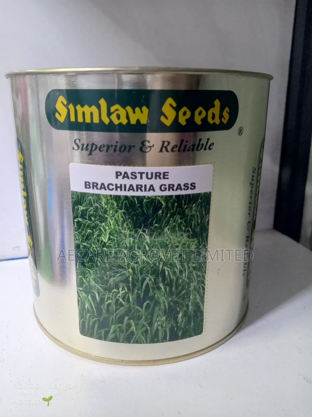 Bracharia Pasture Grass 250g, 500g, 1kg